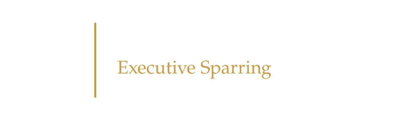 Swen Heidenreich – Executive Sparring